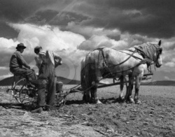 Southern farmers 1880s