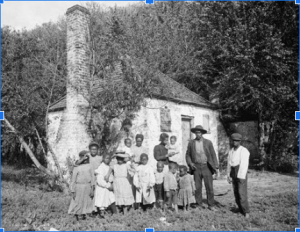 Populist movement - Black southern farmers