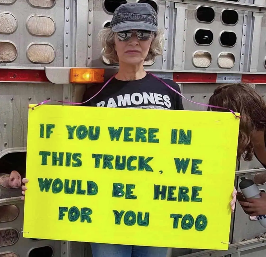 Toronto Pig Save